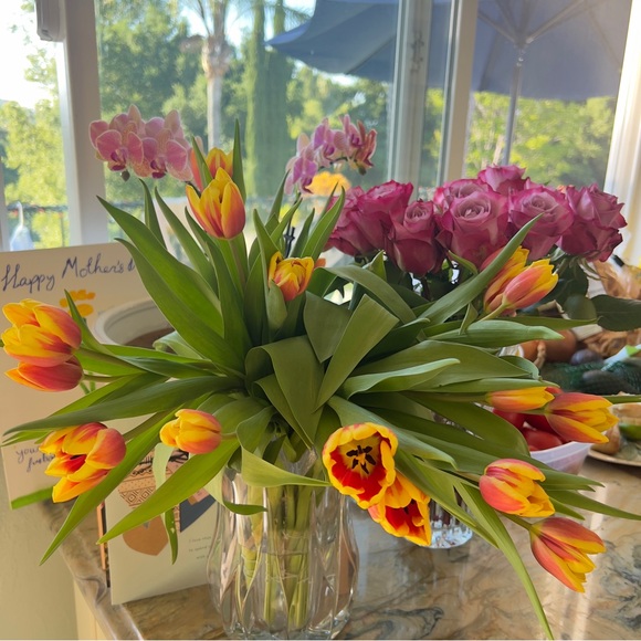 Meet your Posher, Audria - Picture 1 of 1